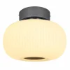 Plafonnier Globo LED Anthracite, Nickel mat, 1 lumière