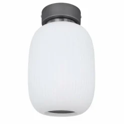 Plafonnier Globo LED Anthracite, Nickel mat, 1 lumière