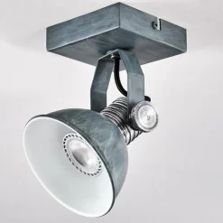 Plafonnier Gudo Gris, Argenté, 1 lumière