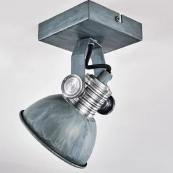 Plafonnier Gudo Gris, Argenté, 1 lumière