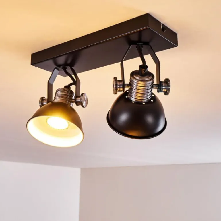 Plafonnier Gudo Noir, Argenté, 2 lumières