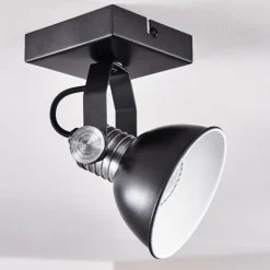 Plafonnier Gudo Noir, Argenté, 1 lumière