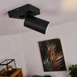 Plafonnier Hakamken Noir, 1 lumière
