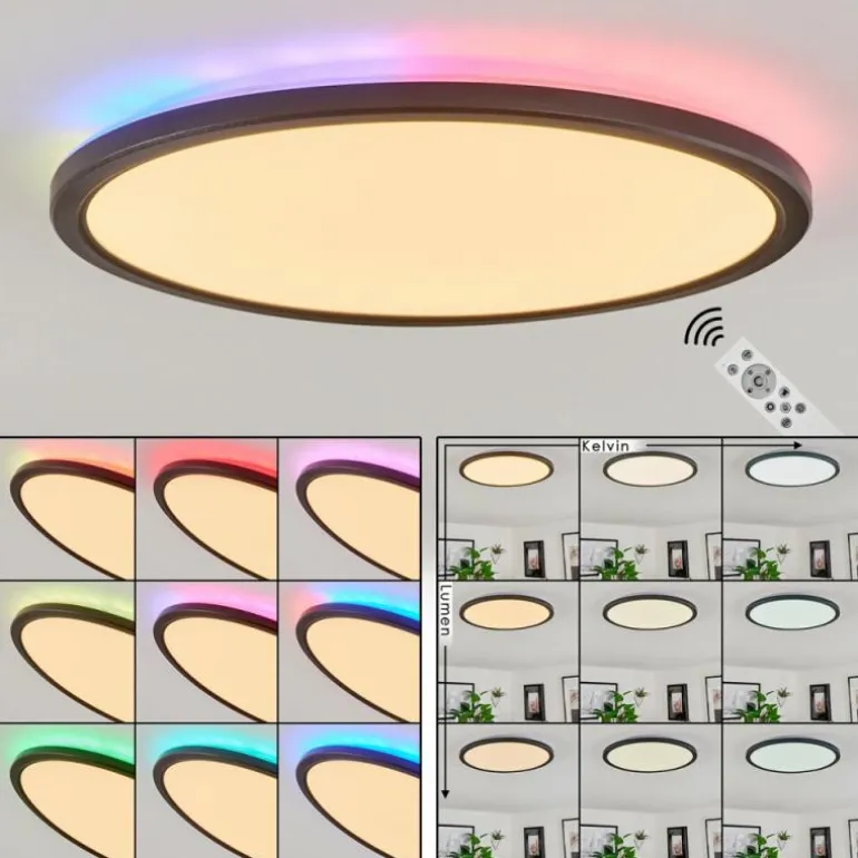 Plafonnier Hortinhas LED Noir, 1 lumière, Télécommandes, Changeur de couleurs