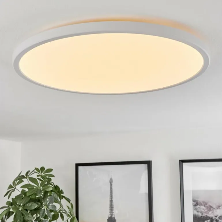 Plafonnier Hortinhas LED Blanc, 1 lumière, Télécommandes, Changeur de couleurs