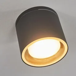 Plafonnier Macoupin Noir, 1 lumière
