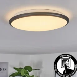 Plafonnier Magdala LED Noir, Blanc, 1 lumière