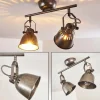 Plafonnier Nanlia Gris, Argenté, 2 lumières