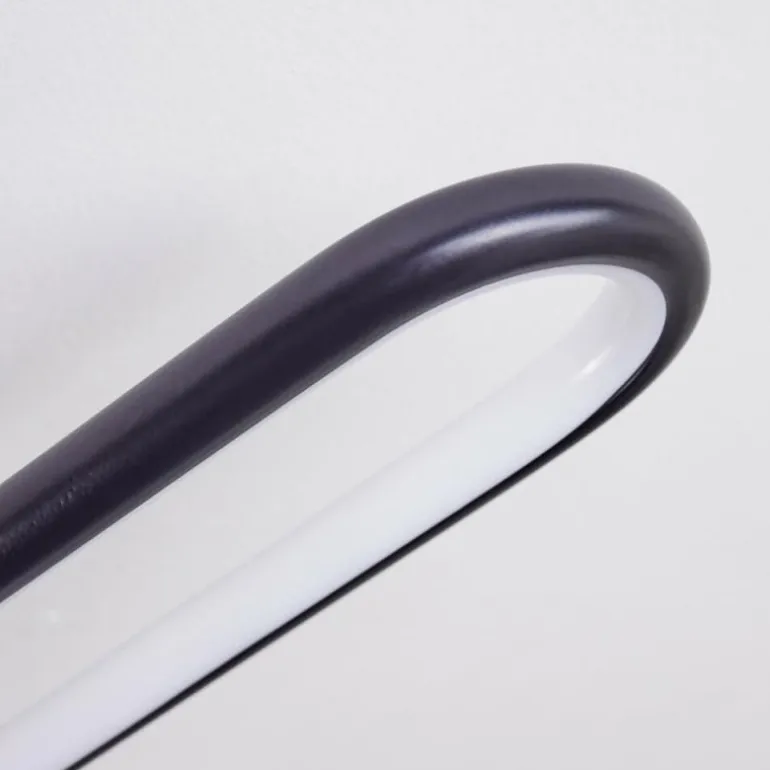 Plafonnier Olul LED Noir, Blanc, 2 lumières