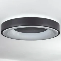 Plafonnier Palanko LED Blanc, 1 lumière, Télécommandes
