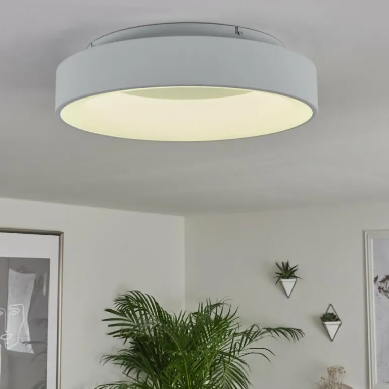 Plafonnier Pine LED Blanc, 1 lumière