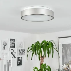 Plafonnier Playas LED Argenté, Blanc, 1 lumière