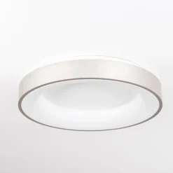 Plafonnier Playas LED Argenté, Blanc, 1 lumière