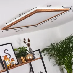 Plafonnier Raimea LED Blanc, 1 lumière