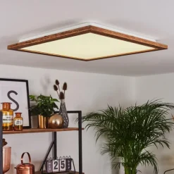 Plafonnier Raimea LED Blanc, 1 lumière
