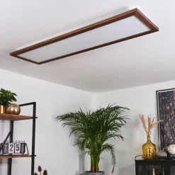 Plafonnier Raimea LED Blanc, 1 lumière