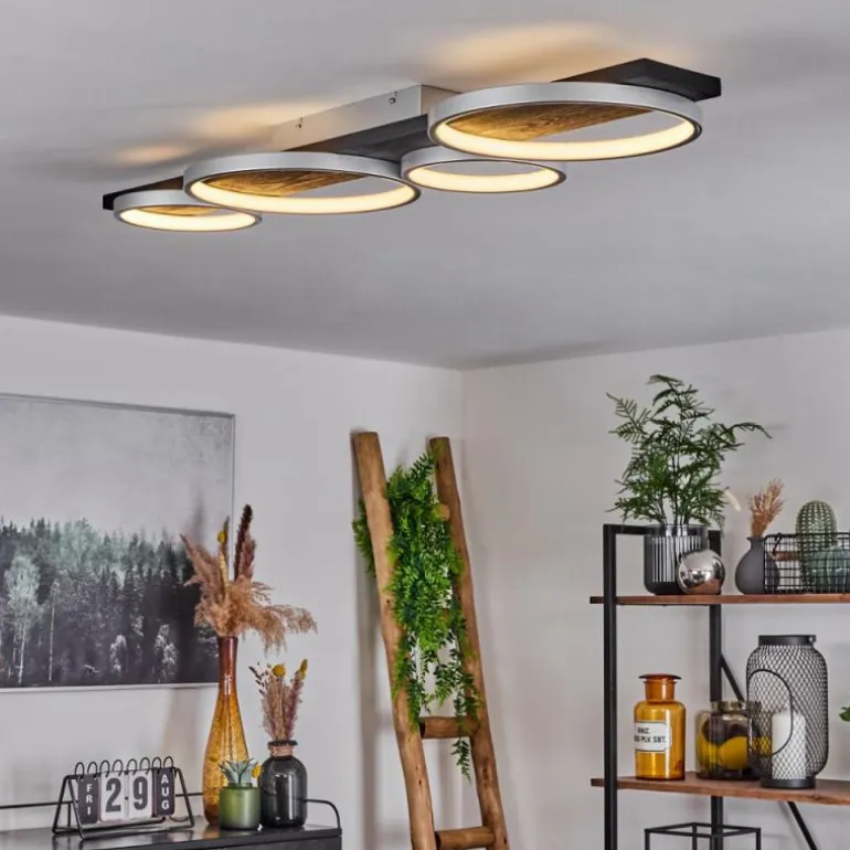 Plafonnier Rodekro LED Noir, Argenté, 1 lumière