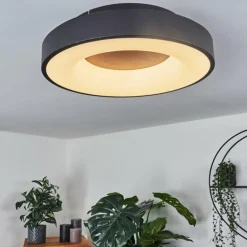 Plafonnier Sachseln LED Noir, 1 lumière
