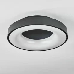 Plafonnier Sachseln LED Noir, 1 lumière