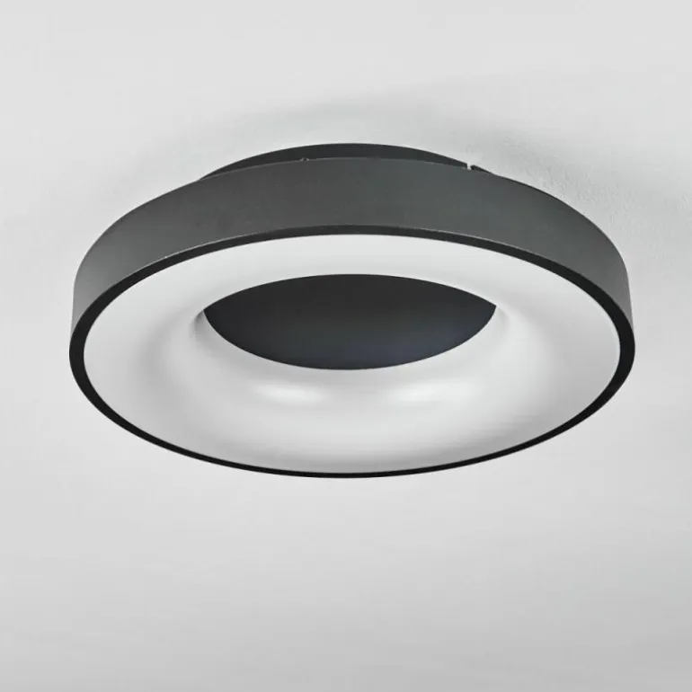Plafonnier Sachseln LED Noir, 1 lumière