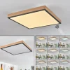 Plafonnier Salmi LED Brun, Couleur bois, Noir, 1 lumière, Télécommandes