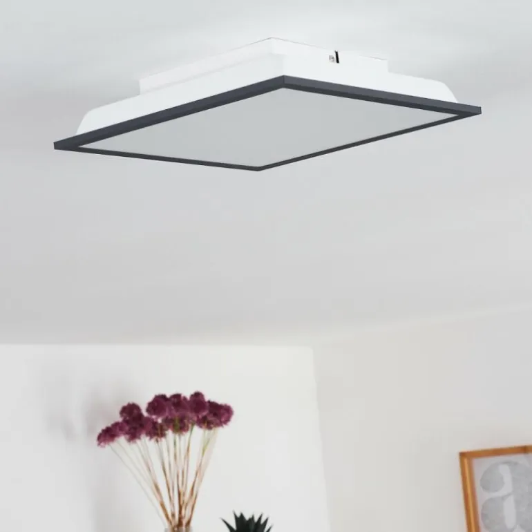 Plafonnier Salmi LED Noir, Blanc, 1 lumière