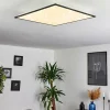 Plafonnier Salmi LED Noir, Blanc, 1 lumière