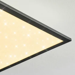 Plafonnier Salmi LED Noir, Blanc, 1 lumière