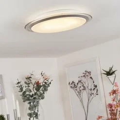 Plafonnier Sapioris LED Argenté, 1 lumière