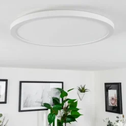 Plafonnier Sasinhosa LED Blanc, 1 lumière, Télécommandes