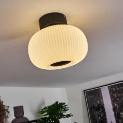 Plafonnier Sebep LED Noir, 1 lumière
