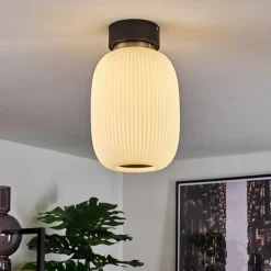 Plafonnier Sebep LED Noir, 1 lumière