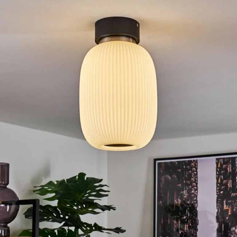 Plafonnier Sebep LED Noir, 1 lumière