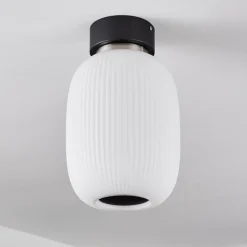 Plafonnier Sebep LED Noir, 1 lumière