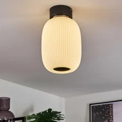 Plafonnier Sebep LED Noir, 1 lumière