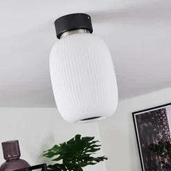 Plafonnier Sebep LED Noir, 1 lumière