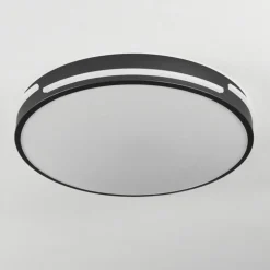 Plafonnier Seewen LED Noir, Blanc, 1 lumière, Télécommandes