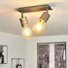 Plafonnier Tyldom Gris, Argenté, 2 lumières