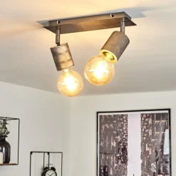 Plafonnier Tyldom Gris, Argenté, 2 lumières