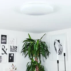 Plafonnier Weesen LED Blanc, 1 lumière, Détecteur de mouvement