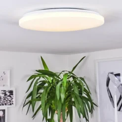 Plafonnier Weesen LED Blanc, 1 lumière, Détecteur de mouvement