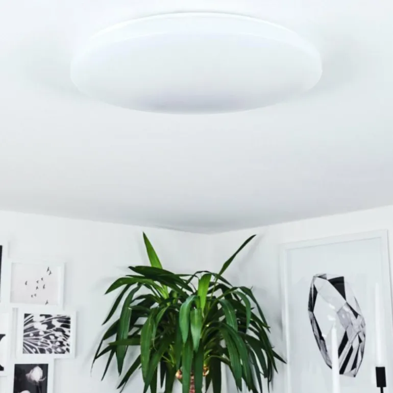 Plafonnier Weesen LED Blanc, 1 lumière, Détecteur de mouvement