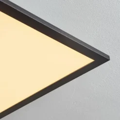 Plafonnier Wilderswil LED Blanc, 1 lumière