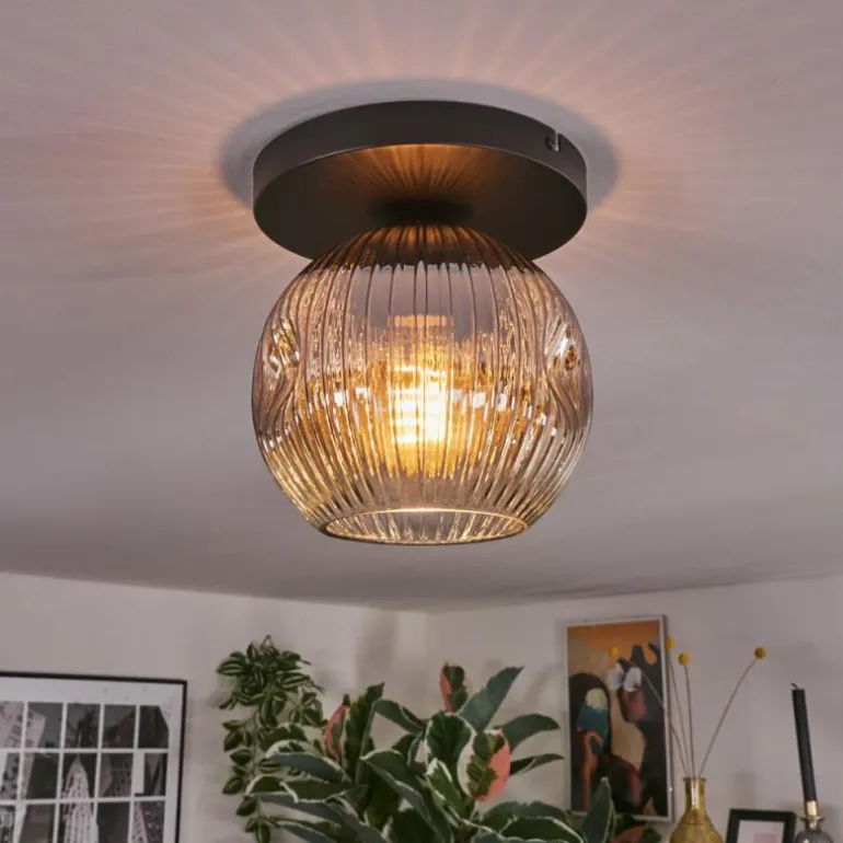 Ripoll Plafonnier, Boule lumineuse Clair, Fumé, 1 lumière