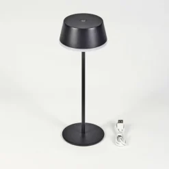 Romdrup Lampe de table d'extérieur, Lampe à poser LED Noir, 1 lumière