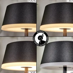 Romdrup Lampe de table d'extérieur, Lampe à poser LED Noir, 1 lumière