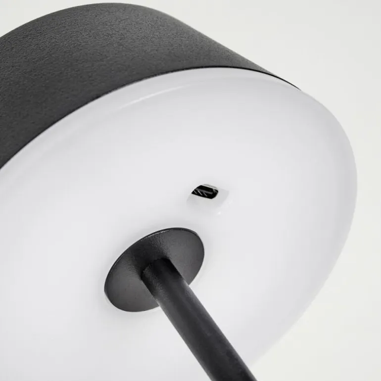 Romdrup Lampe de table d'extérieur, Lampe à poser LED Noir, 1 lumière