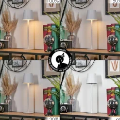 Salgadinho Lampe à poser LED Blanc, 1 lumière