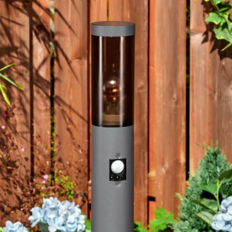 Sessa Lampe à prise électrique, Eclairage de chemin Anthracite, 1 lumière, Détecteur de mouvement