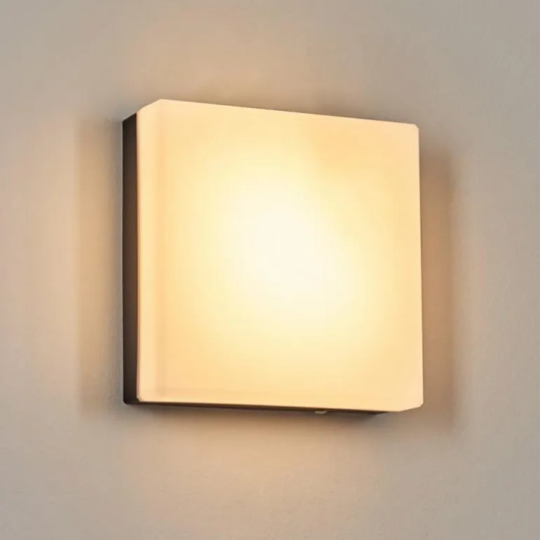 Sneslev Lampe murale d´extérieur, Applique murale Noir, 1 lumière